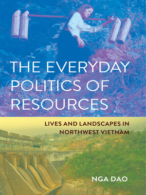 cover image of The Everyday Politics of Resources
